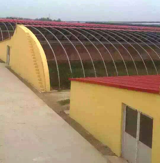 日光溫室具備哪些性能