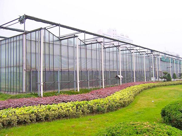 連棟溫室特點及降濕方法